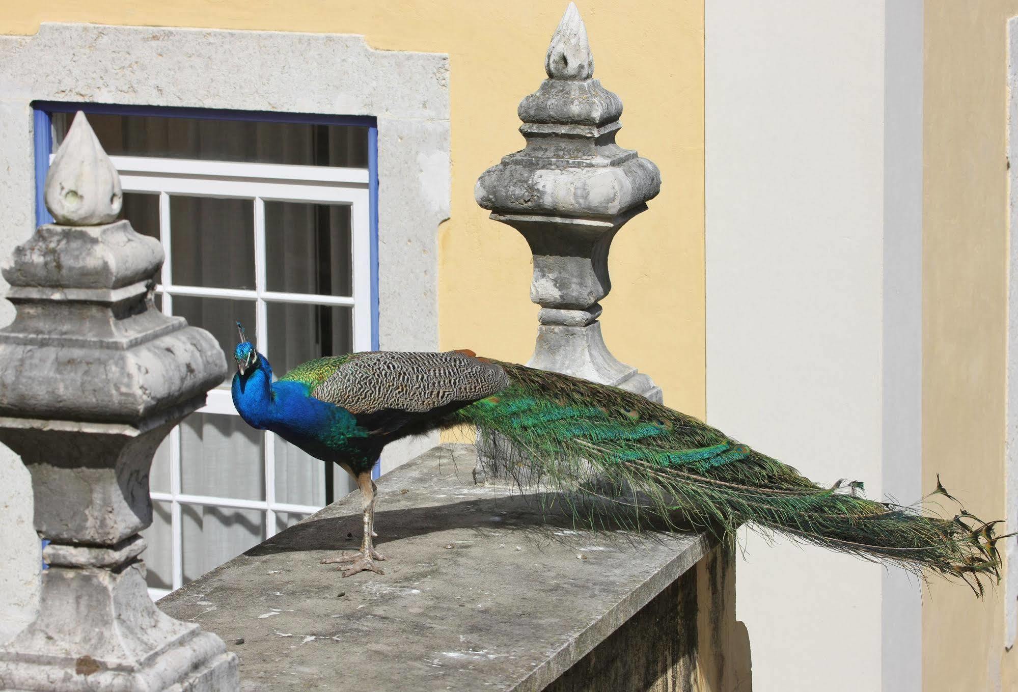 Solar Do Castelo - Lisbon Heritage Collection - Alfama Dış mekan fotoğraf